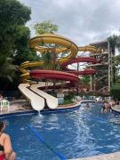 Flat Golden Dolphin Express