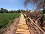 Top San Pedro de Atacama