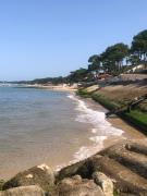 Top Lanton Top Lanton