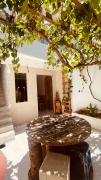 Bossa Nova Home
