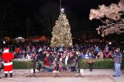 Top Libertyville