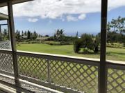 Top Naalehu