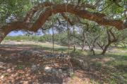 Top Luckenbach