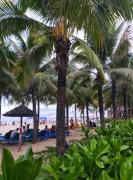 Top Da Nang
