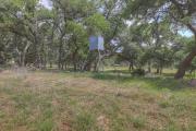 Top Luckenbach