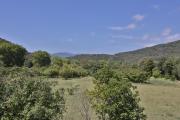 Top Céret