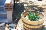 Top Dripping Springs