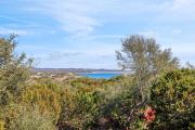 Top Canyon Lake