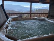 Beartastic Mountain View Lodge, Game Room, Hot Tub!