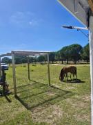 Eco Cabaña Mayjora Refugio natural en el campo, entre el océano Atlántico y la laguna Garzon