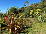 Aloha chirripo cabaña familiar