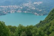 Top Brunate