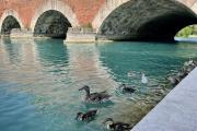 Top Peschiera del Garda