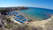 Top Paralimni