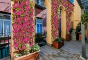 Top Naples