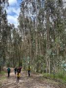 Top Cayambe