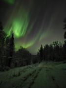 Top Fairbanks