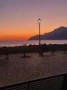 Top Salerno