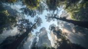 Top Zhangjiajie