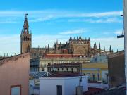 Top Seville