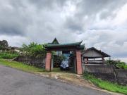 Top Kemuning