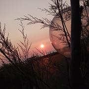 Top Ortona
