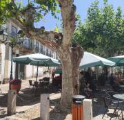 Top Pinheiro de Coja