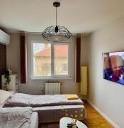 Top Pleven