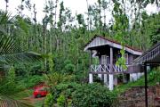 Jungle Greens Homestay - 150Y Old Coffee Estate, Home Food, Jungle Safari