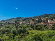 Top Imperia