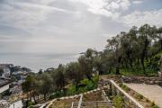 Top Rapallo