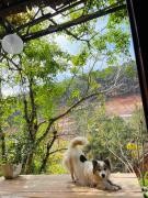 Top Da Lat