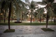 Top Phu Quoc