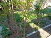 Top Ayía Paraskeví