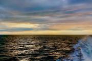 Top Provincetown