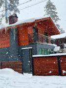 Amazing Villa in Bakuriani