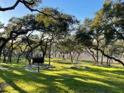 Top Canyon Lake