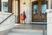Top Wimberley