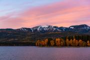 Top Whitefish