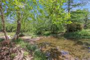 Top Wimberley Top Wimberley