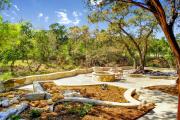 Top Wimberley