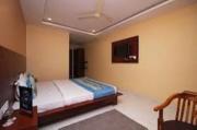 Top Kangra