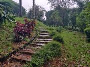 Top Sakleshpur