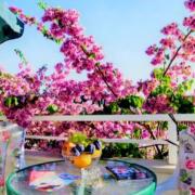 Sunset Flat Dubrovnik