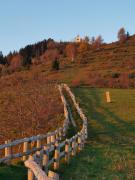 Top Velo Veronese Top Velo Veronese