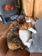 B&B De Pauw - Country Home Cooking