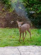 Top Chissay-en-Touraine