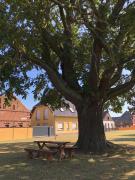 Ferienhaus zur Eiche am Dorfanger
