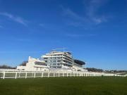 Top Epsom