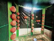 Naturehouse